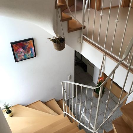 House With Castle View & Art Apartment Günzburg Exterior foto